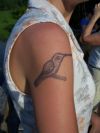 Hummingbird tattoos design